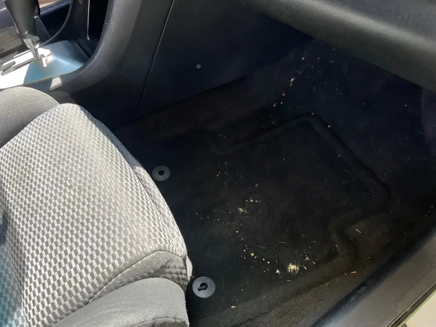 Auto Detailing